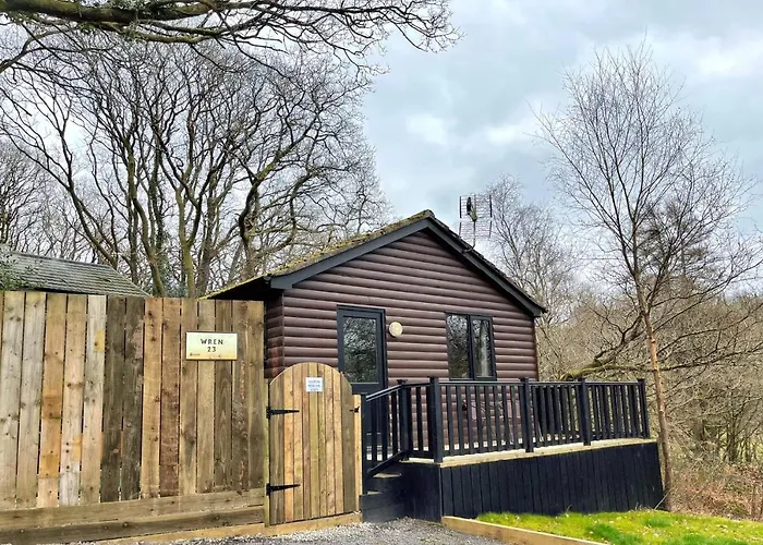 Wren 23-Hot Tub-Woodland Lodges-Tenby-Pembroke