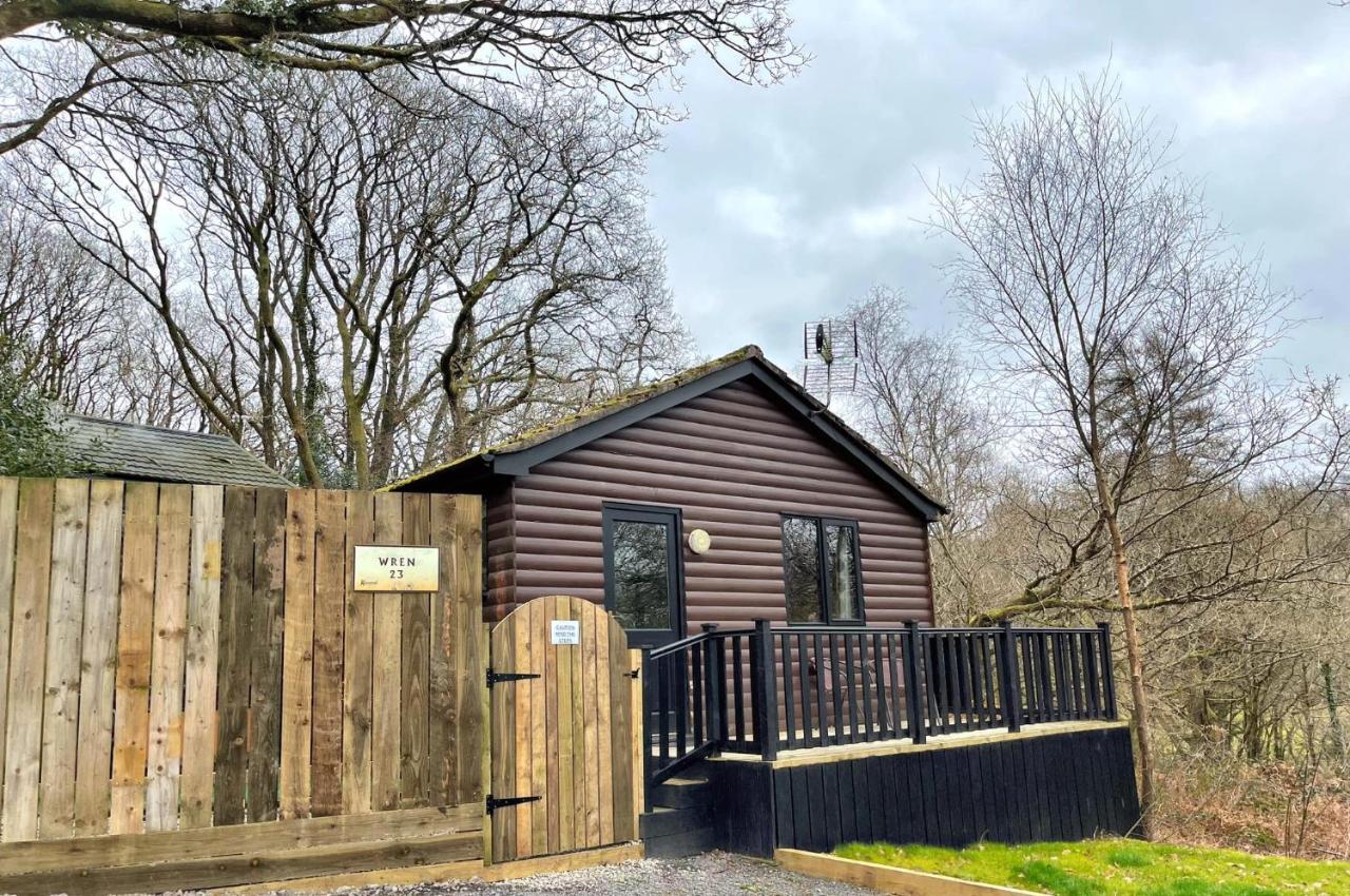 Wren 23-hot Tub-woodland Lodges-tenby-pembroke * Carmarthen